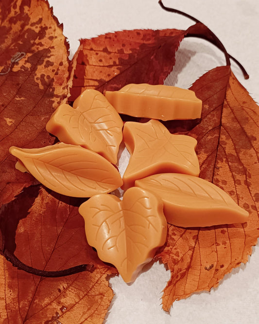 Autumn Leaves Soy Wax Melts - Highly Scented, Pack of 6