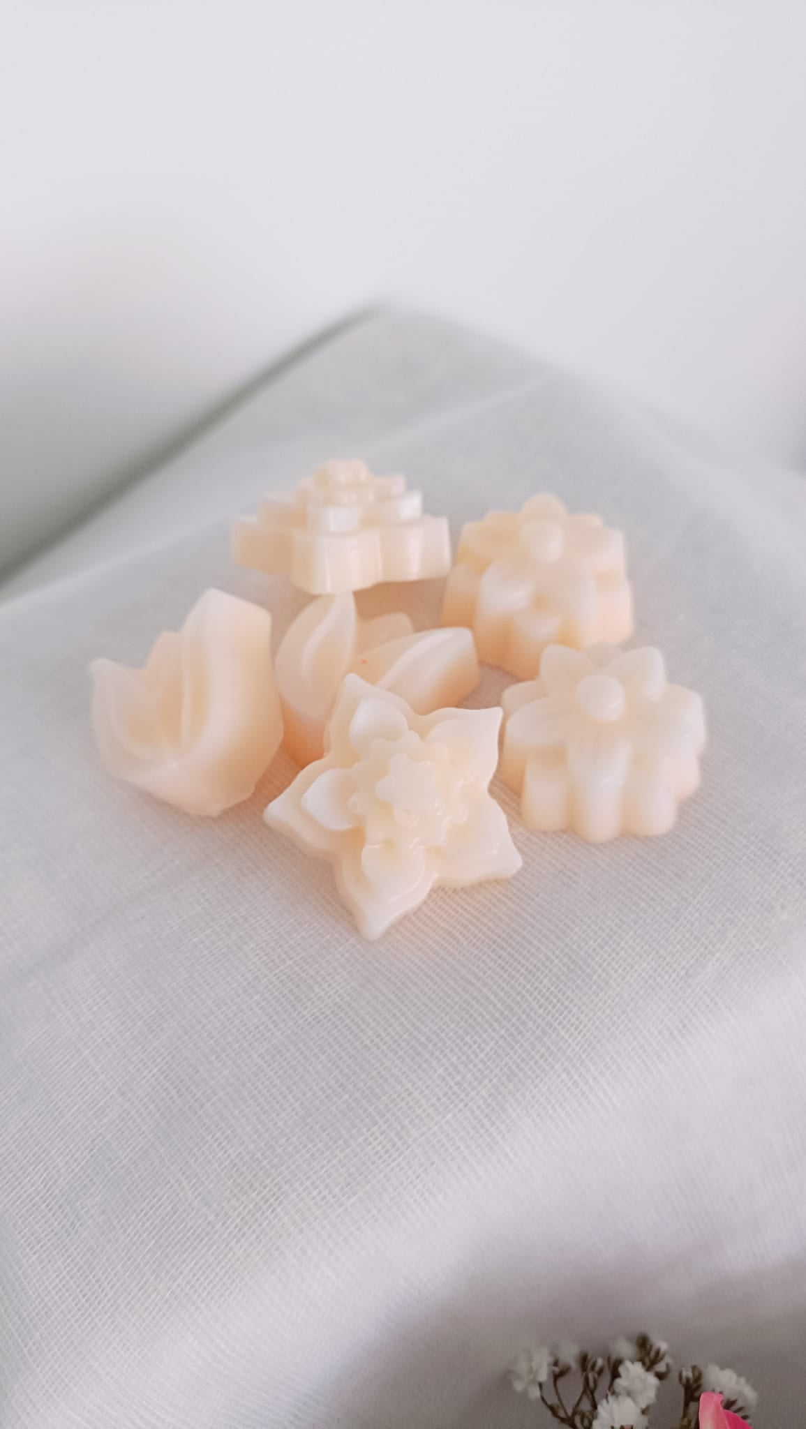 Golden Orchid Soy Wax Melts - Highly Scented, Pack of 6