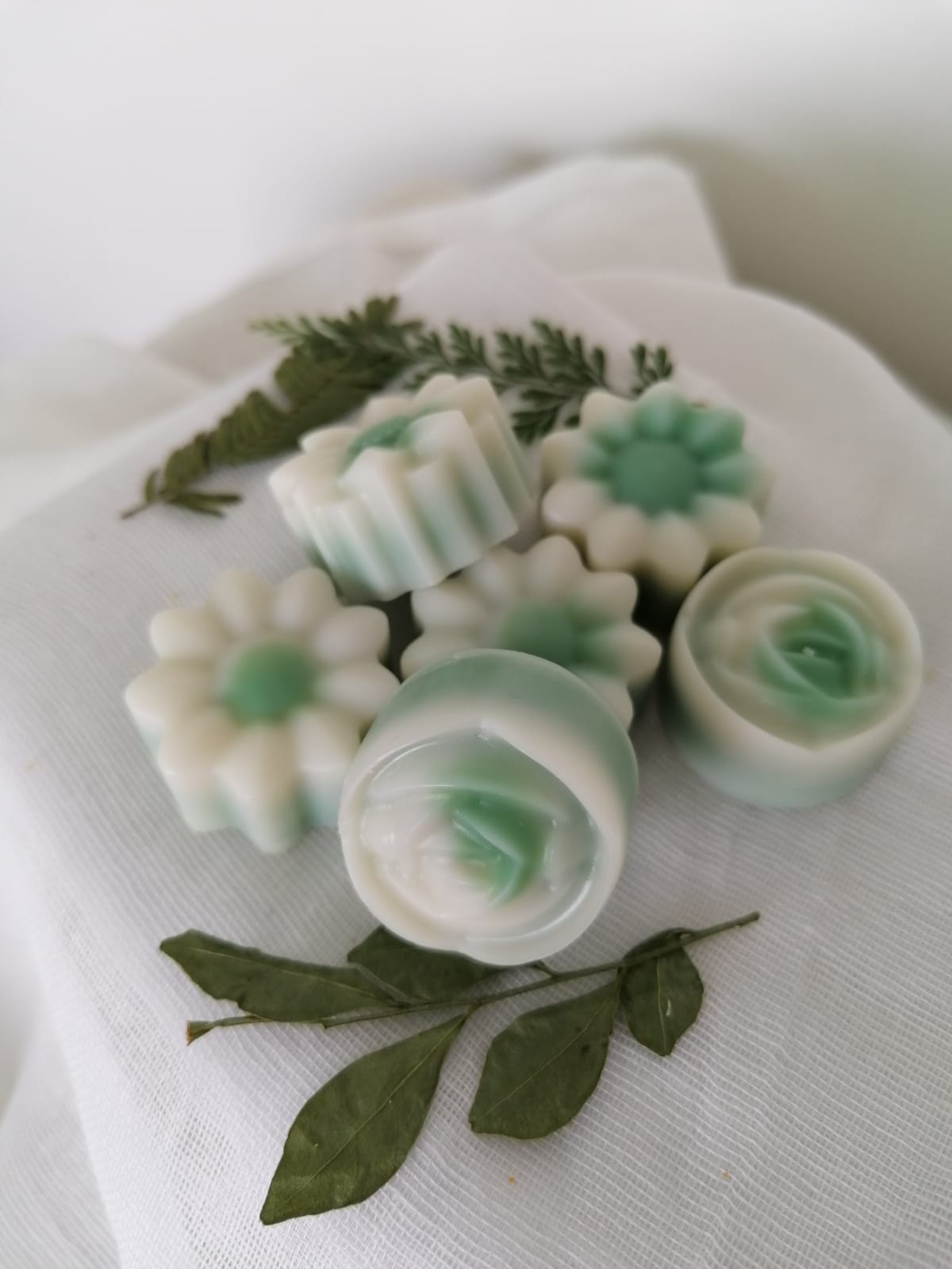 Coconut Lime Soy Wax Melts - Highly Scented, Pack of 6